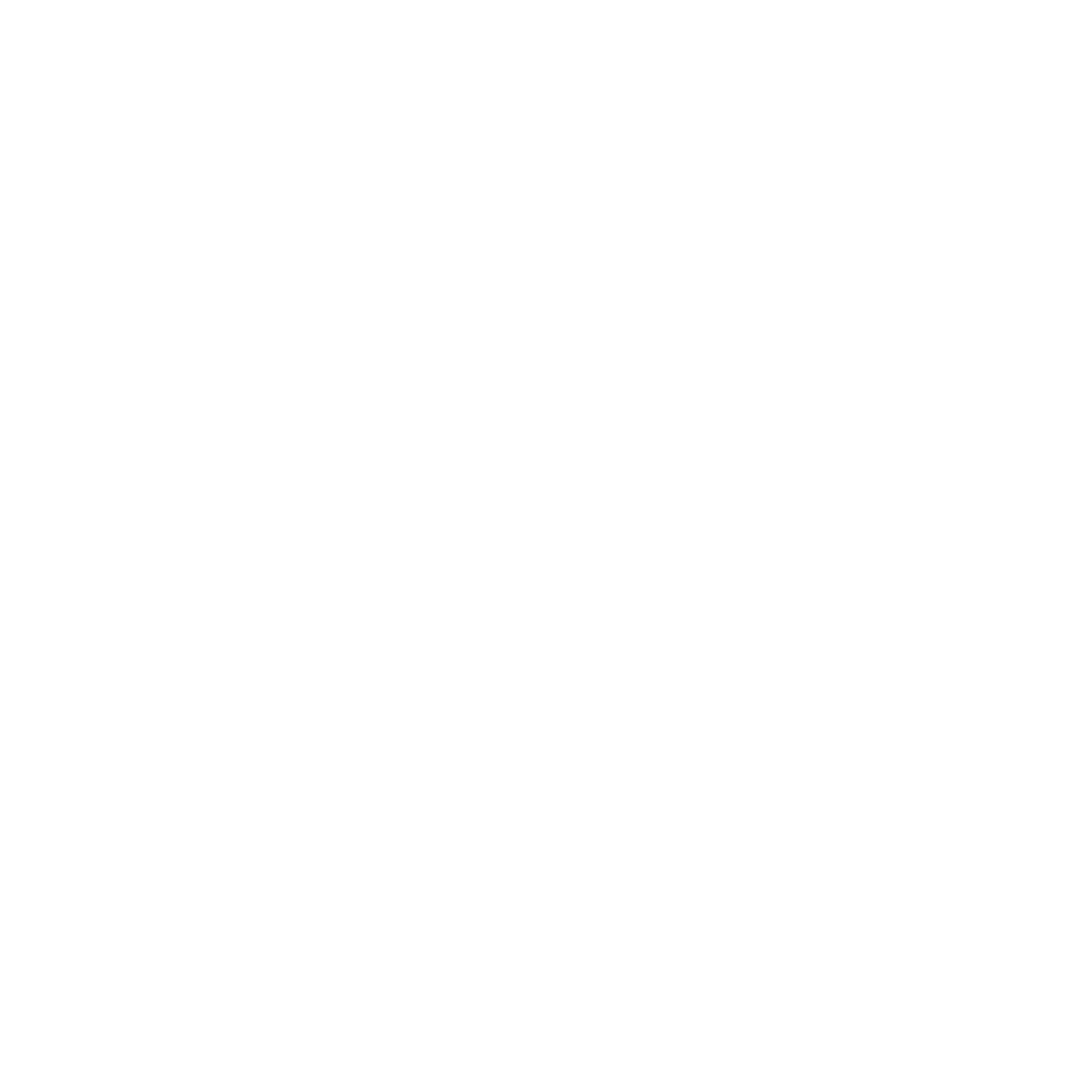 commodore icon ssd